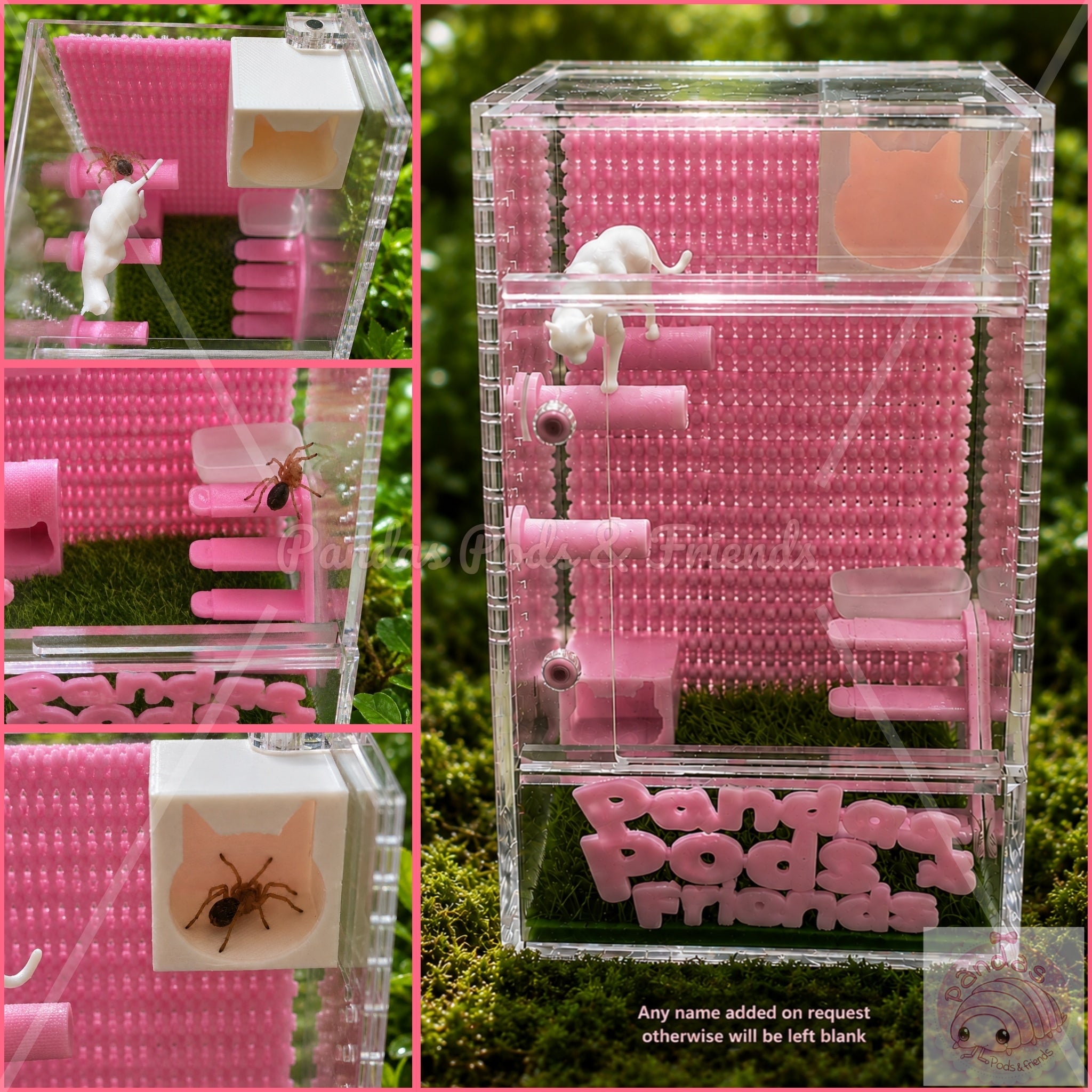 Cat themed arboreal enclosure for little spiders / slings - customisable